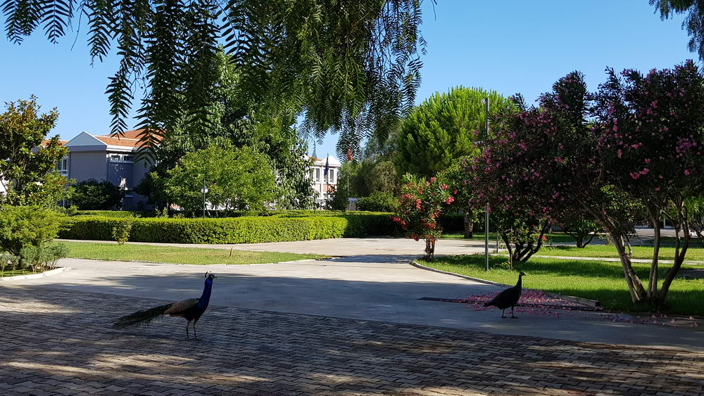 Bilfen Güzelbahçe İlkokulu (İzmir/Güzelbahçe) kampüs görseli 6