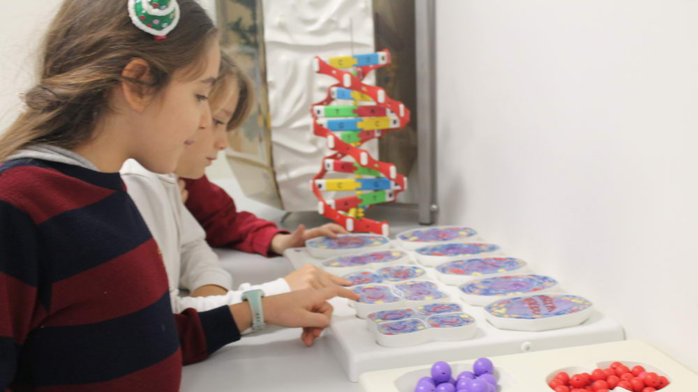 Özel Bilfen İskenderun Fen Lisesi - Kampüs Görseli
