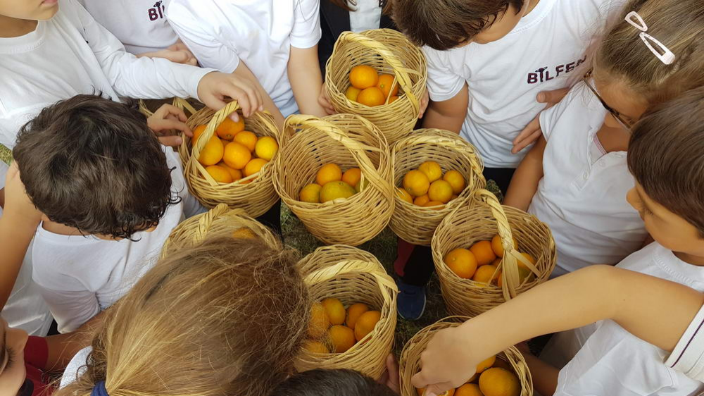 Bilfen Güzelbahçe Ortaokulu (İzmir/Güzelbahçe) kampüs görseli 3